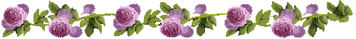 20285B504D57C1E312AA45
